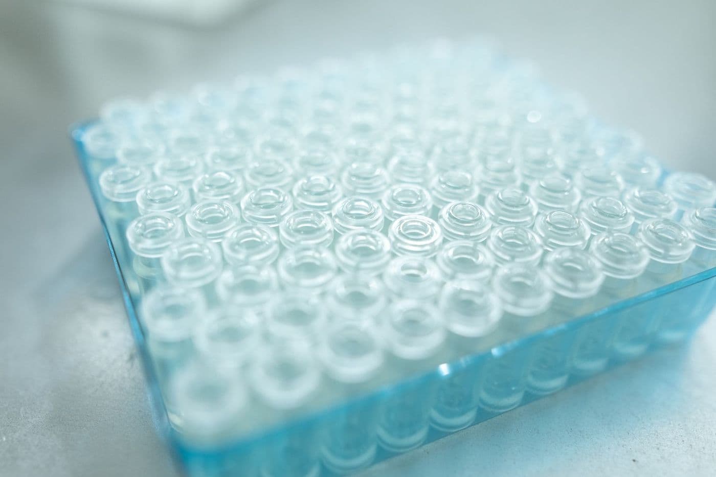 A dense tray of empty glass vials.